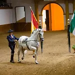 Taina Bajo Muro