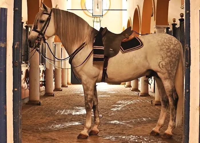 Taina Bajo Muro Apartamento *