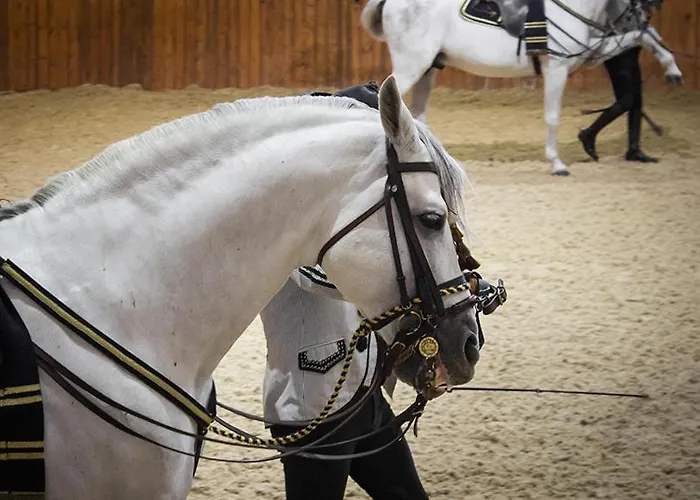 Apartamento Taina Bajo Muro *