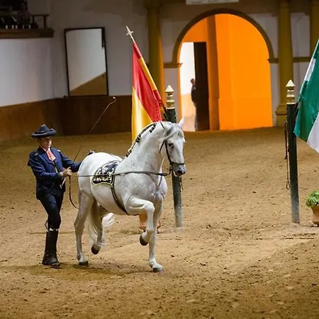 3 Luminoso Y Céntrico