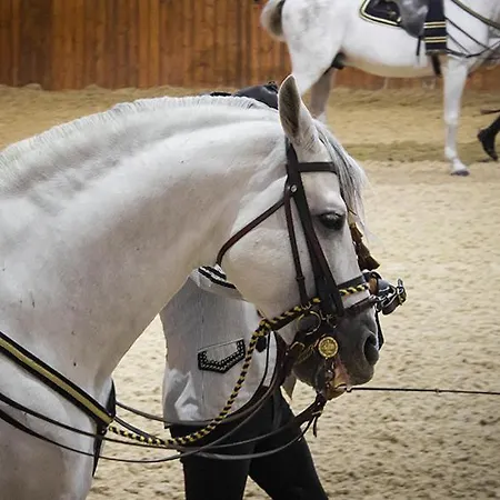 Apartamento Taina Bajo Muro *